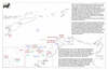 kin20  timor_thumb.gif
